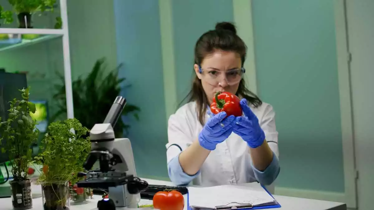 WhatisfoodtestingWhyisfoodtestingserviceimportantforyourbusiness image